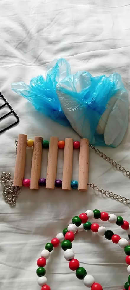 Photo of free Budgie Toys, Perches etc (Baldock, SG7) #4