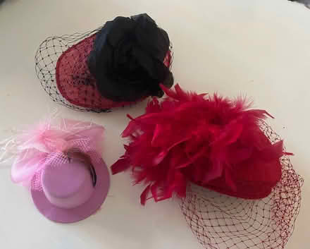 Photo of free Ladies Hats (Cox Green SL6) #1