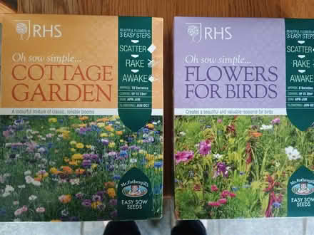 Photo of free 2 boxes seeds (Guilsfield SY21) #1