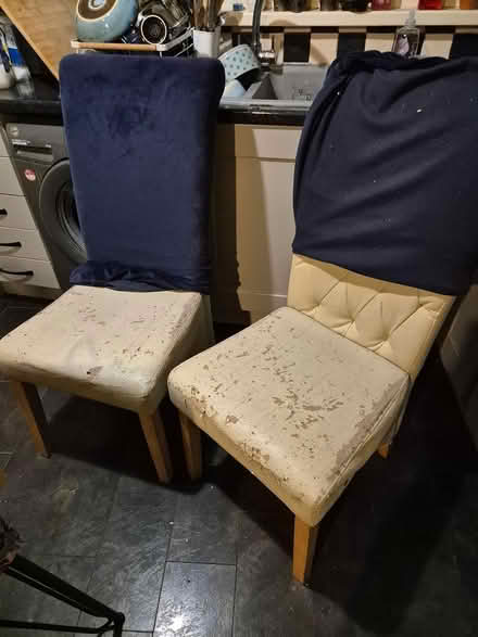 Photo of free Dining chairs (Ballyfermot) #3