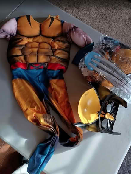 Photo of free Halloween costumes - boys (Temple City) #2