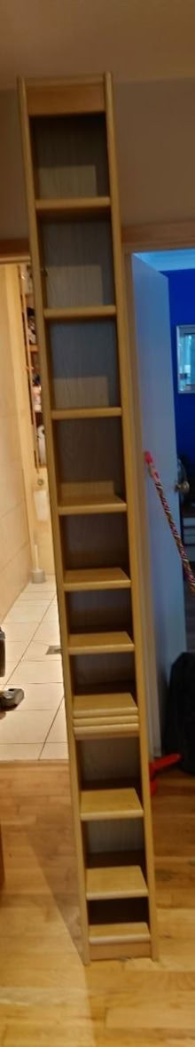 Photo of free Tall bookcase / cd rack (Caversham RG47TQ) #1