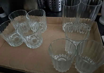 Photo of free Glasses (South Harting GU31) #1