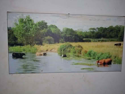 Photo of free Large canvas pictures x4 and a large pinboard (Stratton Strawless NR10) #4