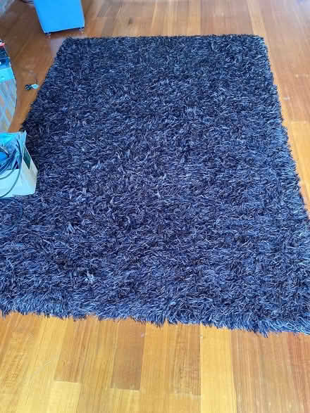 Photo of free Lounge rug (Ocean grove) #1