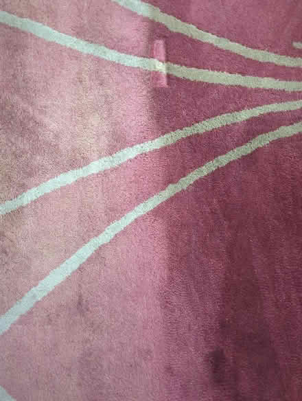 Photo of free Worn wool 10x12 area rug (Neptune) #3