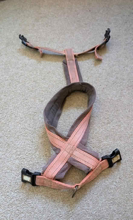 Photo of free Dog harness (Staple Hill BS15) #1