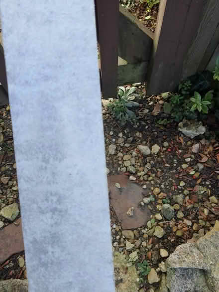 Photo of free Length of covered MDF (Stroud central GL5) #2