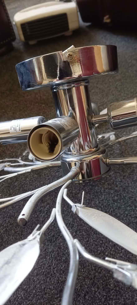 Photo of free leaf design ceiling light fitting (Euxton PR7) #2