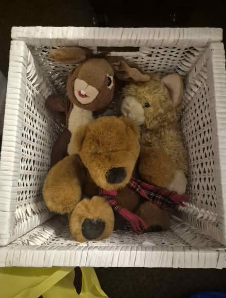 Photo of free Stuffed animals (5) (N15, near Downhills Park) #1