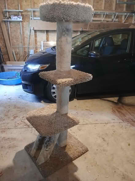 Photo of free Cat Scratch Tree (near Byrne Dairy) #1