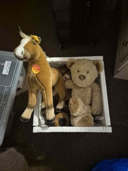 Photo of free Stuffed animals (5) (N15, near Downhills Park) #2