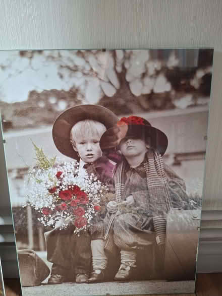 Photo of free Beautiful pictures x 2 (Mereoak Park RG2) #3