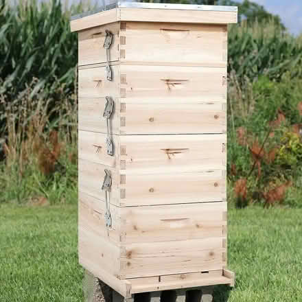 Photo of Bee Hive (Timperley WA15) #1