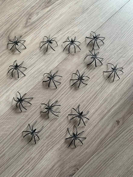 Photo of free plastic spiders (Bracknell RG12) #1