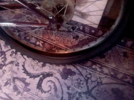 Photo of free smallish bicycle (Carlton Hill BN2) #3