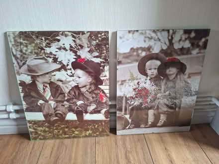 Photo of free Beautiful pictures x 2 (Mereoak Park RG2) #1