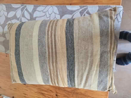 Photo of free cushions. no labels on 1 (Lye Valley OX4) #2