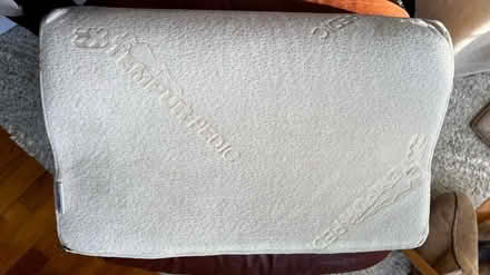 Photo of free Tempur pillow (Sunnyvale) #1