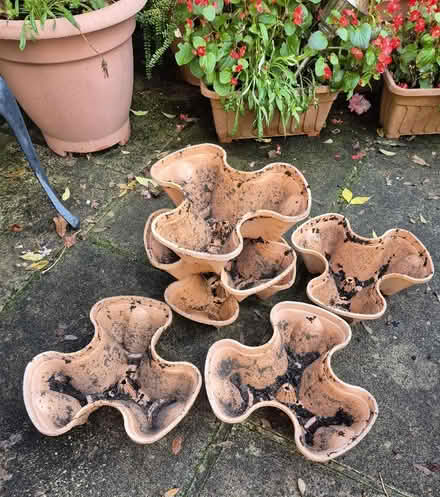 Photo of free Small Herb Planter (Handforth SK9) #1