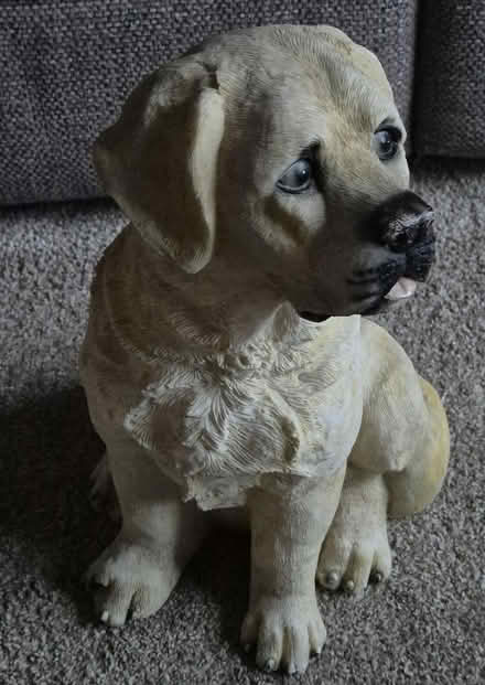 Photo of free Dog Ornament (Needs Attention) (Handforth SK9) #1