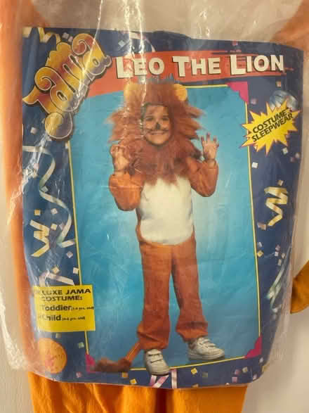 Photo of free Halloween Costume (Cascades) #1
