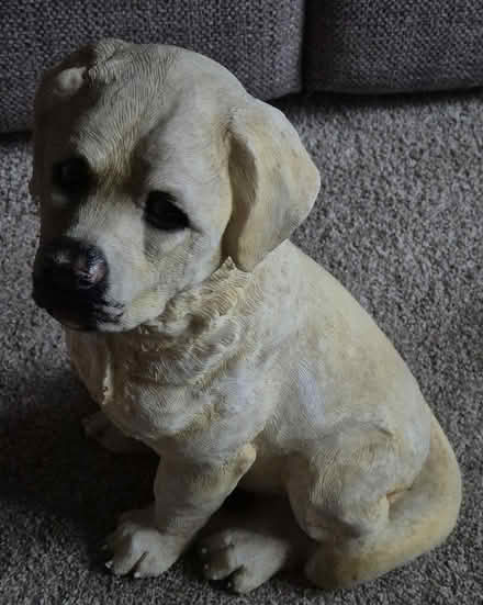 Photo of free Dog Ornament (Needs Attention) (Handforth SK9) #2