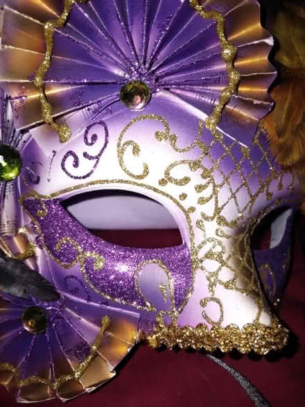 Photo of free Masquerade Face/Eye Mask (Edmonton N9) #3