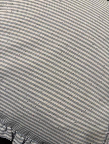 Photo of free Cushion (Sw16 3lu) #2