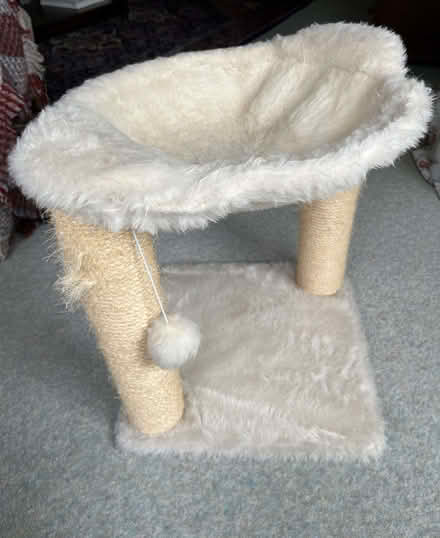 Photo of free Cat Hammock Bed (Lower Walmer CT14) #1