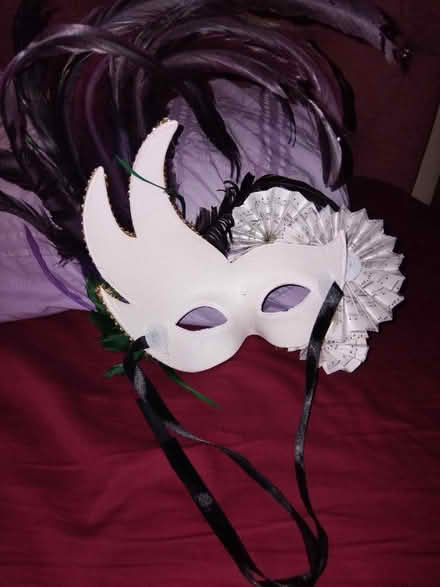 Photo of free Masquerade Face/Eye Mask (Edmonton N9) #2