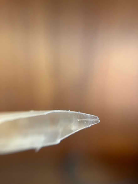 Photo of free Goose feather hand cut quill pens (Berkhamsted HP4) #2