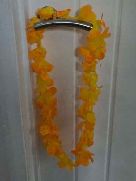 Photo of free 27 Hawaiian Lei Garlands (Swinton S64) #3