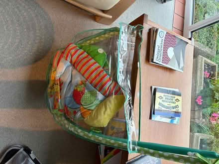 Photo of free Baby play mat (Bloxham OX15) #1