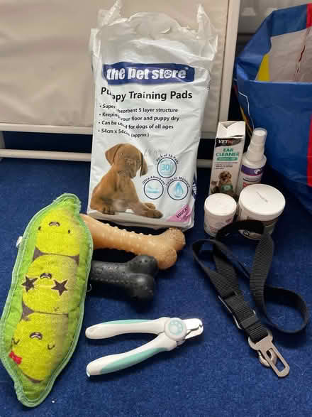 Photo of free Dog items (Taffs Well CF15) #1