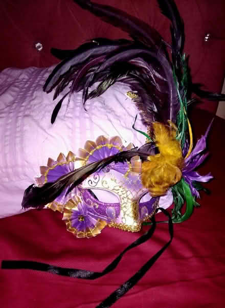 Photo of free Masquerade Face/Eye Mask (Edmonton N9) #1