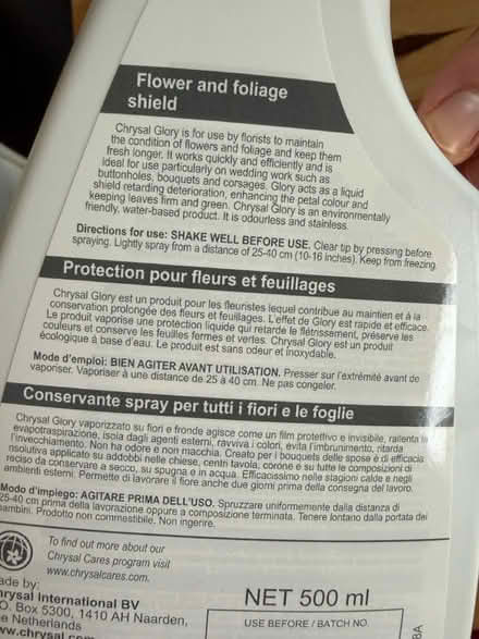 Photo of free Flower preserving spray (Speedwell BS5) #3