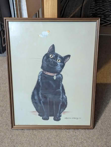 Photo of free Framed Cat Print (Baldock SG7) #1