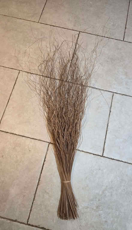 Photo of free Decorative twigs (Halton HP22) #1