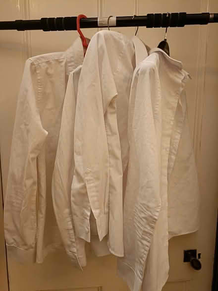 Photo of free 4 white girls school shirts (11-13) (EH3 Canonmills) #2