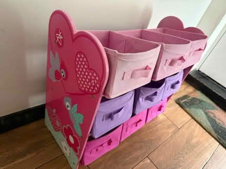 Photo of free Girls shelving unit (Sinfin DE24) #2