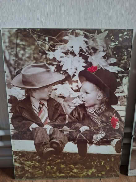 Photo of free Beautiful pictures x 2 (Mereoak Park RG2) #2
