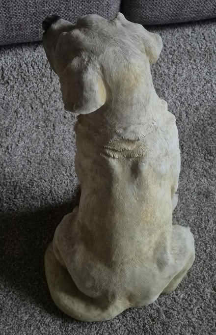Photo of free Dog Ornament (Needs Attention) (Handforth SK9) #3