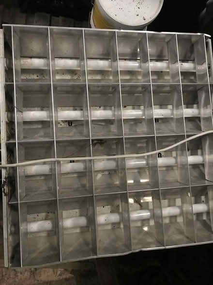 Photo of free lamps (BT23 Moneyreagh area) #1