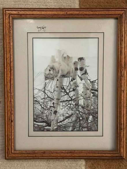 Photo of free William Ervin Photograph of Wolf in Snow (Highway SL6) #1