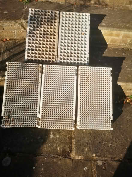 Photo of free Tray for seedlings (North Ferriby HU14) #2