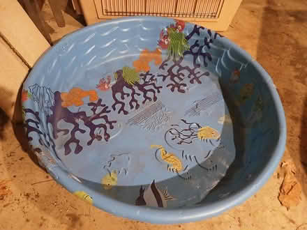Photo of free Kiddie Pool (near Byrne Dairy) #2