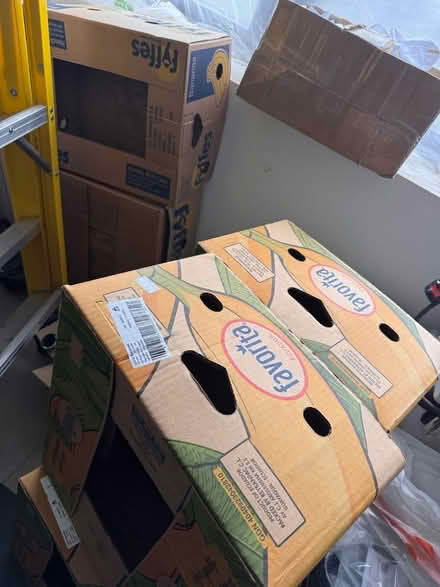 Photo of free 7 x banana boxes (Dore Moor S11) #1