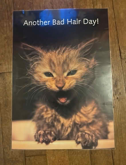 Photo of free Large Laminated Posters (Westcott, Nr Dorking RH4) #1