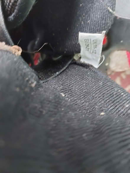 Photo of free Kids roller blades (Stroud GL5) #3